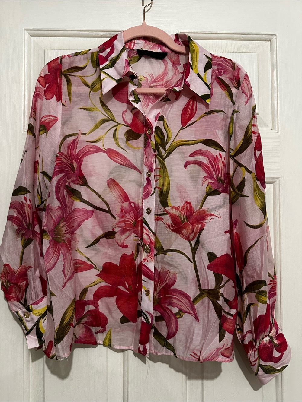 Zara Pink Floral Sheer Button-Down Blouse